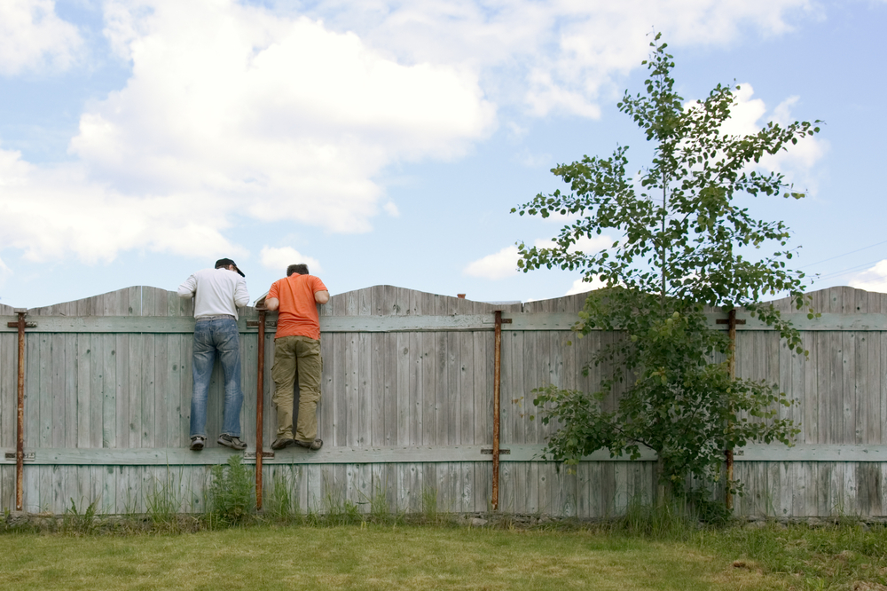 dont sit on the fence larki 3d surveys